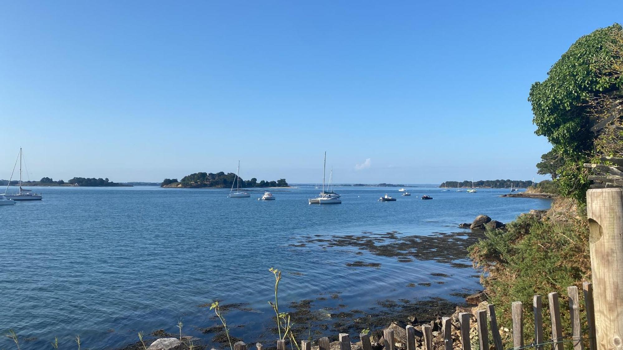 Le Petit Nid Du Port Crouesty - Studio Au Calme Arzon Zewnętrze zdjęcie